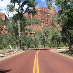 View from Zion Lodge access road