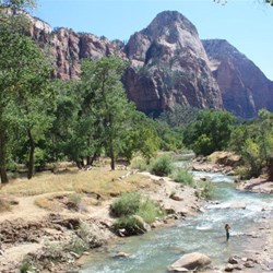 Virgin River at Zion Lodge