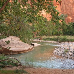 Virgin River from Riverside walk