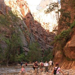 Start of the Narrows walk from end of Riverside walk