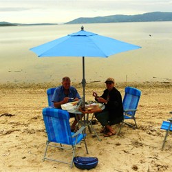 Oysters on the beach