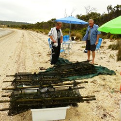 Learning about the oyster industry
