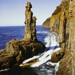 Living on the wild side