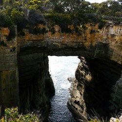 Tasman Arch