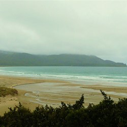 A miserable day at Cloudy Bay
