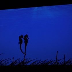 Just one of the quirky exhibits