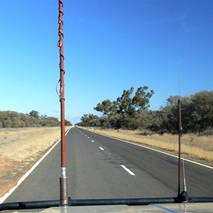 Flat timbered country around Bourke