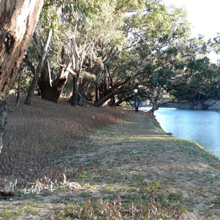 Walking beside the Barwon River