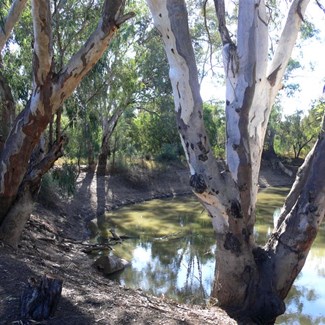 The Macquarie River