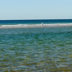 Clear blue waters at Flinder's Beach