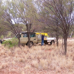 A wet bush camp.