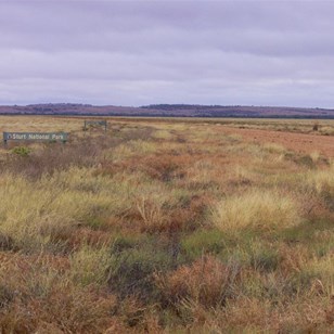 Sturt National Park, eastern end.