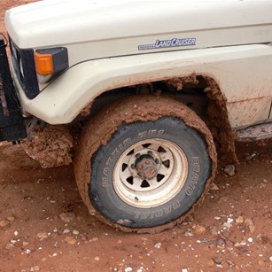 A thick coating of mud.