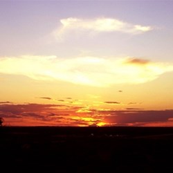 Mungo sunset