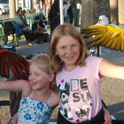 Macaws on my girls!