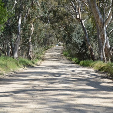 Back Road heading out to Spring Gully