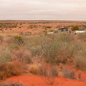 Into the sand dunes west of Cameron Corner