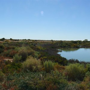 Wetland at Montecollina Bore