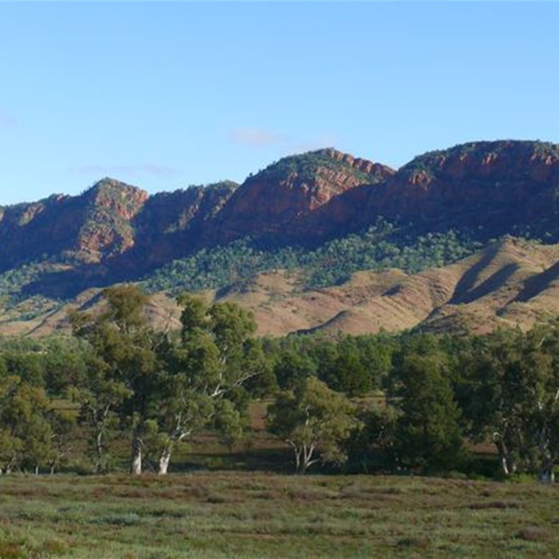 Aroona Valley and the Heysen Range