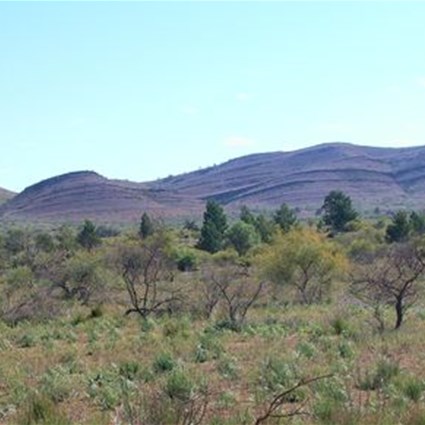 On the way to Blinman.