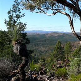 View from the Heysen Trail