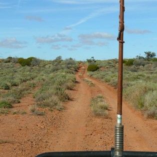 In the sand dunes north of Andamooka
