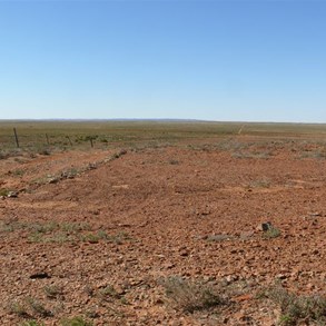 A wide brown land - track follows vermin fence