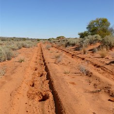 Hoofprints made the track very rough