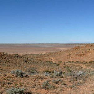The track near Lake Arthur that leads to fossils