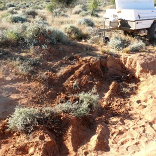 Free at last - after all that digging.