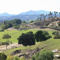 The safari tram circuit