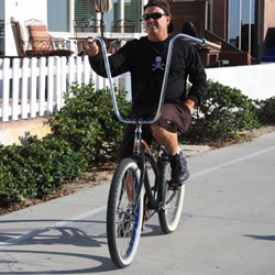 They all come out to play at sunset