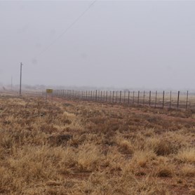 A gloomy day out along the dog fence