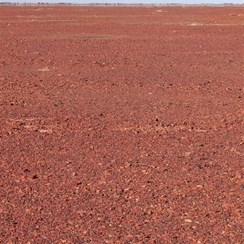 Across the gibbers mirages shimmer in the distance.