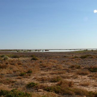 Sheets of water among the gibbers