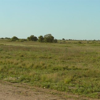 Suddenly all around us was green grass and clover.