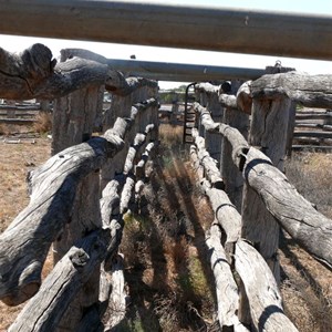 Old cattle yards
