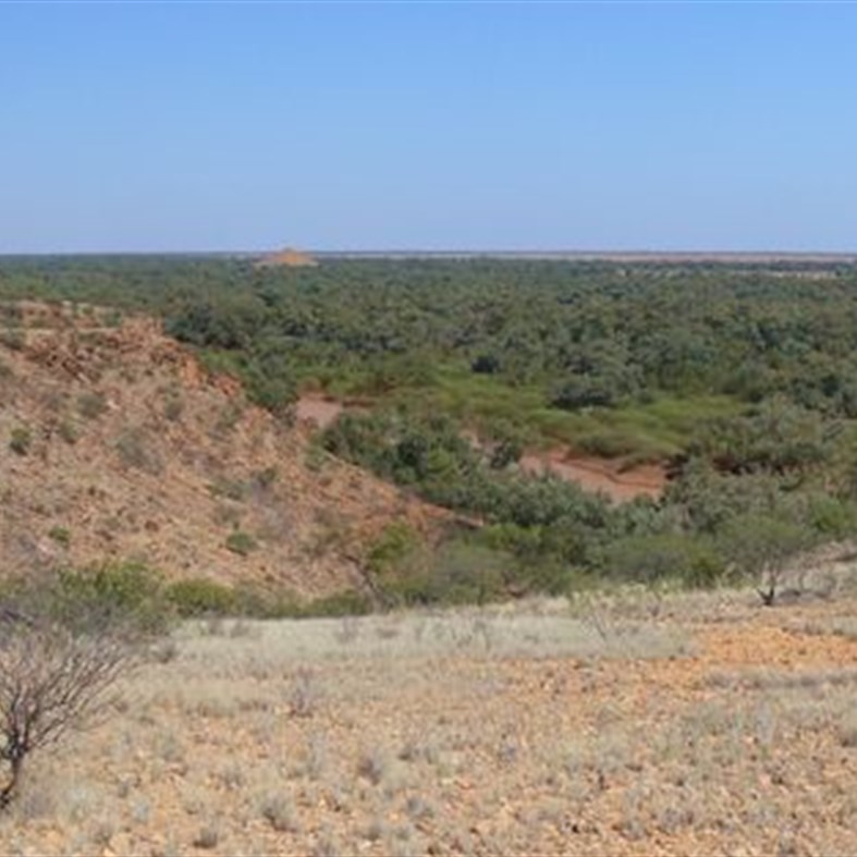 From the rocky ridges a sea of coolabah and lignum on the floodplain