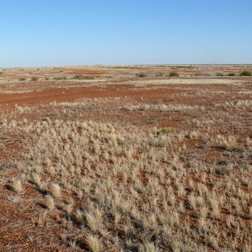 Diamantina NP landscape