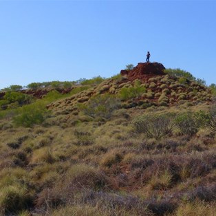 Looking for signs of Selwyn from a rocky knoll