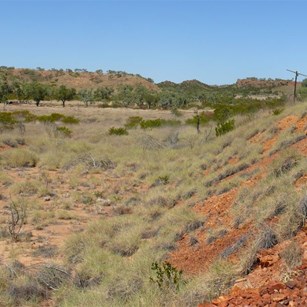 Power pole with insulators, and the railway cutting