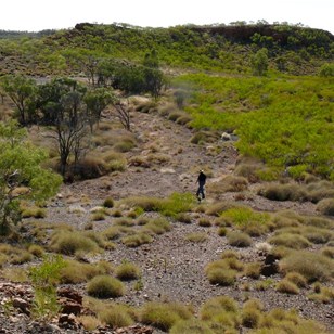 Searching for Selwyn