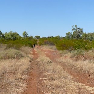 The track into Selwyn