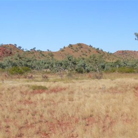 Track to the amethyst fossicking area