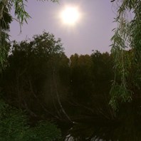 Moonlight on the Flinders