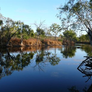 Our name for this pretty place is Snake Waterhole