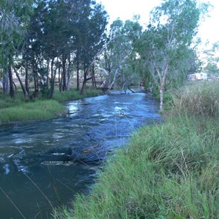 Fletcher's Creek