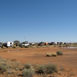 Lined up like ants near Dalhousie Springs