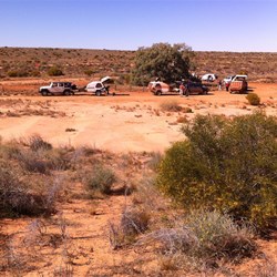 Lunch at the Lone Gum Tree
