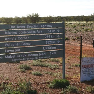 The Anne Beadell Begins